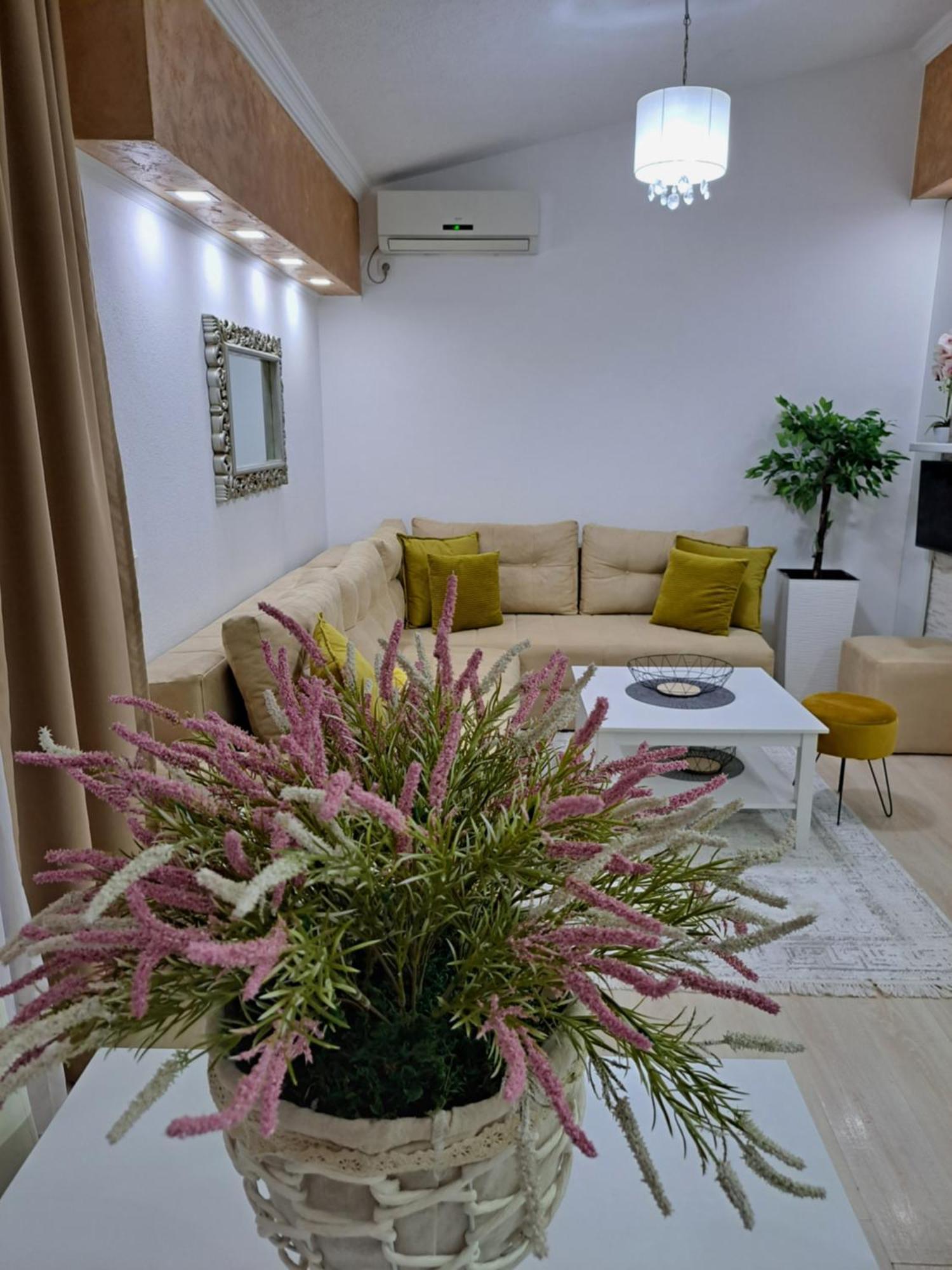 Apartments Pepdjonovic ウルツィニ エクステリア 写真